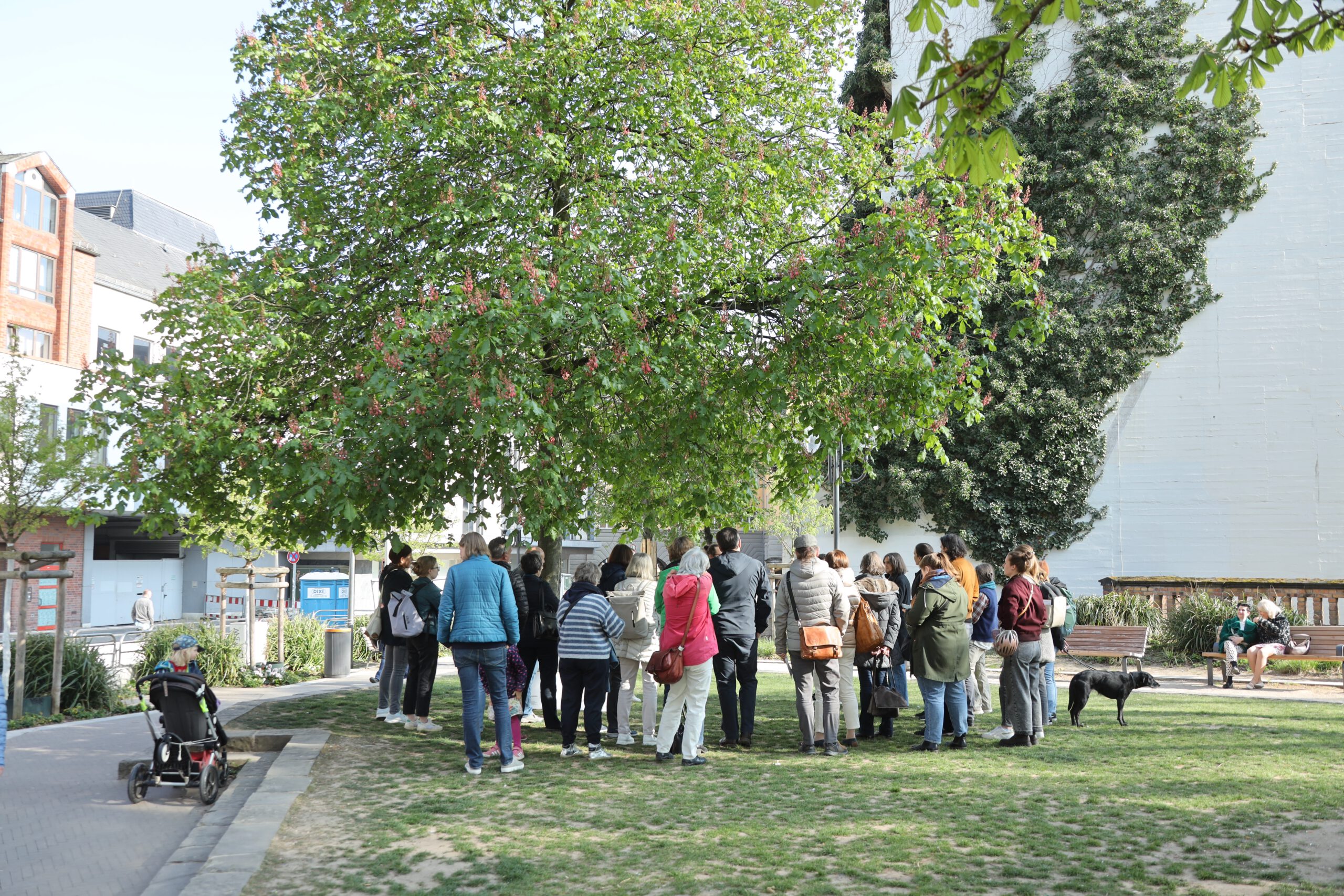 Stadtspaziergang zu Baumaßnahmen des Masterplans Innere Stadt 2.0